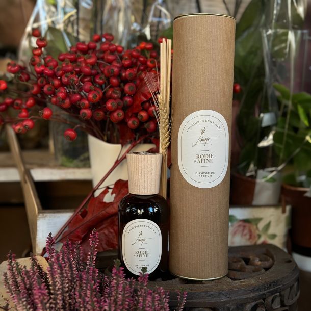 Fragrance gift set with a brown perfume bottle, wooden cap, and a tall diffuser tube on a rustic display with red berries and foliage as decor.